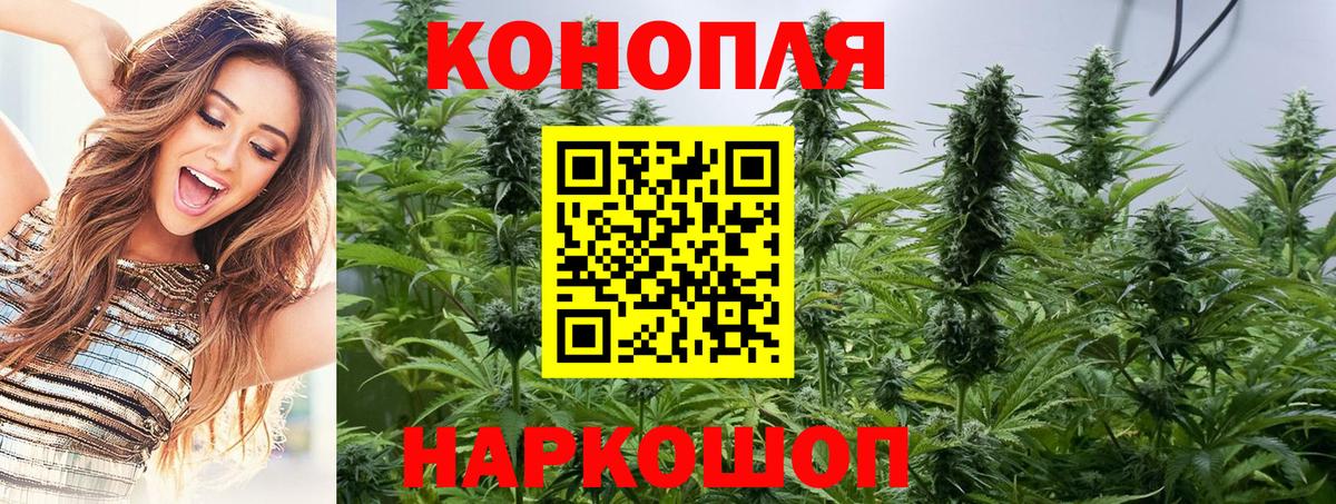 Конопля планчик  Канабис MAZAR  Мончегорск  Вход с VPN 